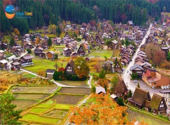 [HCM] Tour Nhật Bản Mùa Thu 2026: Cung Đường Làng Cổ Shirakawago